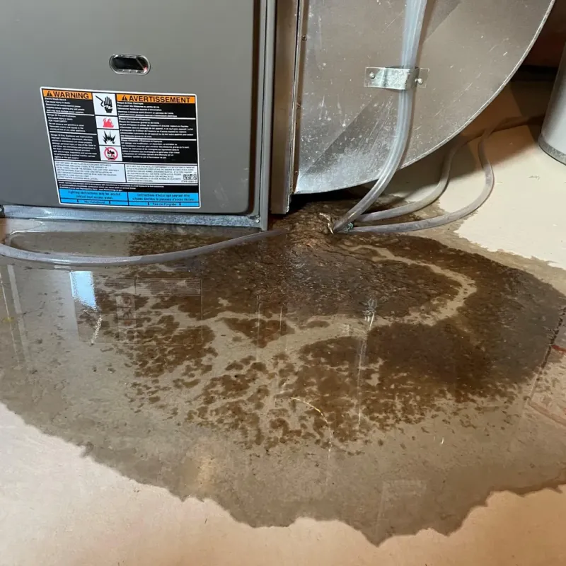 Appliance Leak Cleanup in Claryville, KY