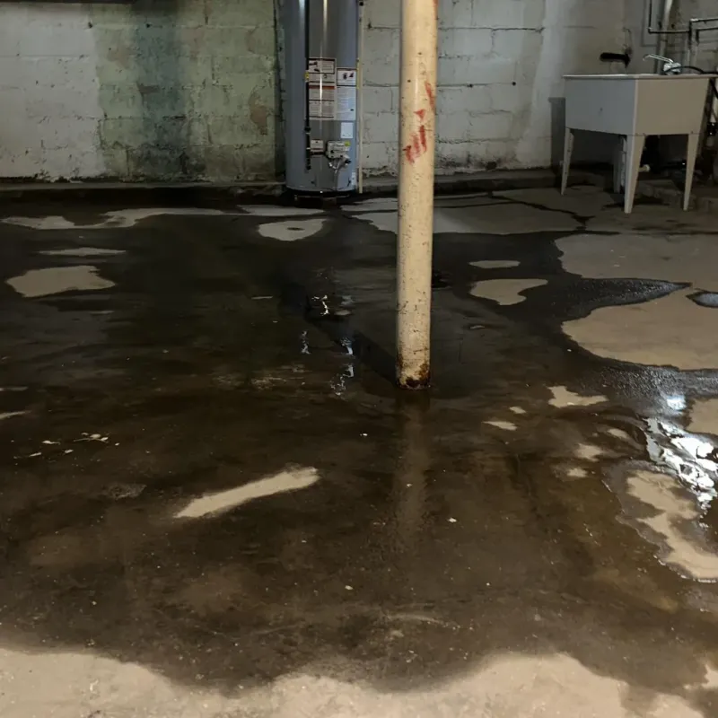 Emergency Water Extraction And Removal in Claryville, KY